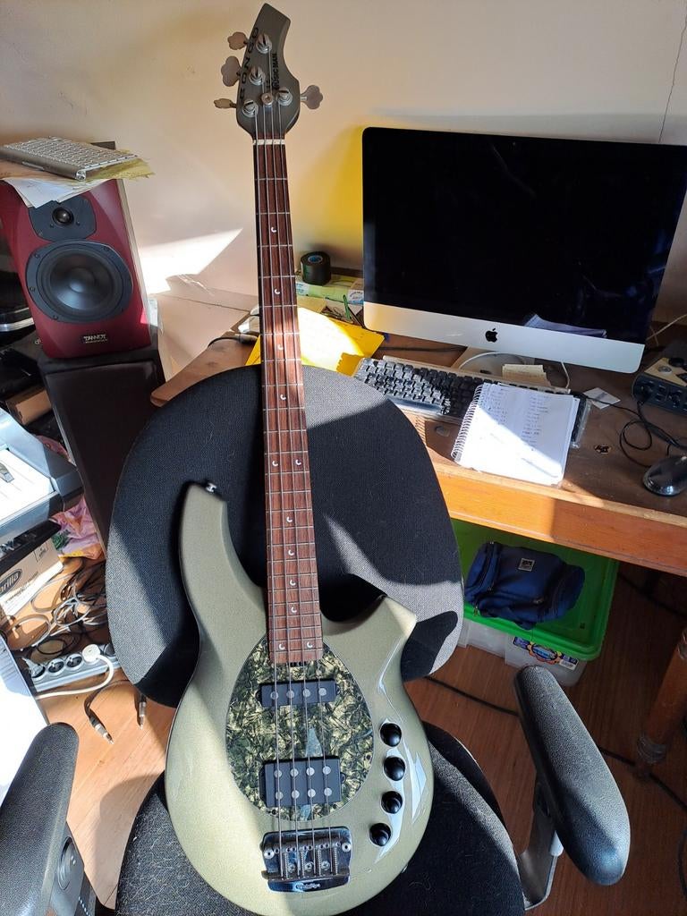 Musicman Bongo, Muziek en Instrumenten, Ophalen