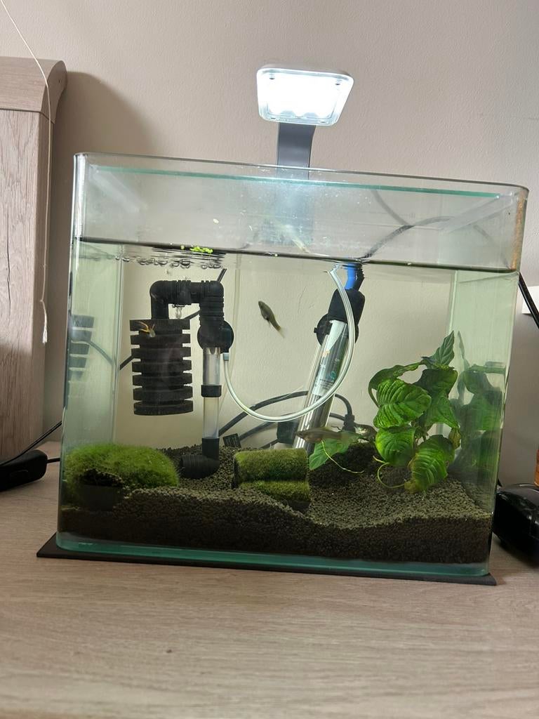 Aquarium te koop, Dieren en Toebehoren, Ophalen