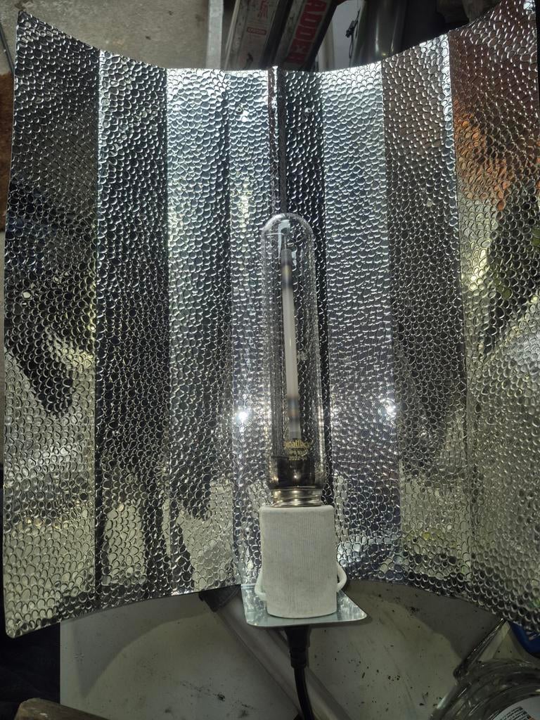 Lampe culture 600w, Tuin en Terras, Kweekspullen, Ophalen of Verzenden