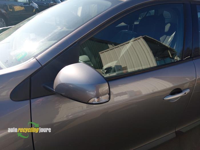 Rétroviseur extérieur gauche d'un Renault Megane, -, Renault, -, 3 mois de garantie