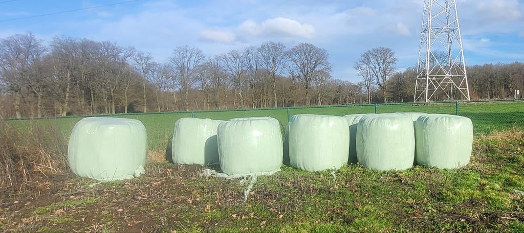 Ronde balen voordroog 2025, Dieren en Toebehoren, Ophalen, Vee