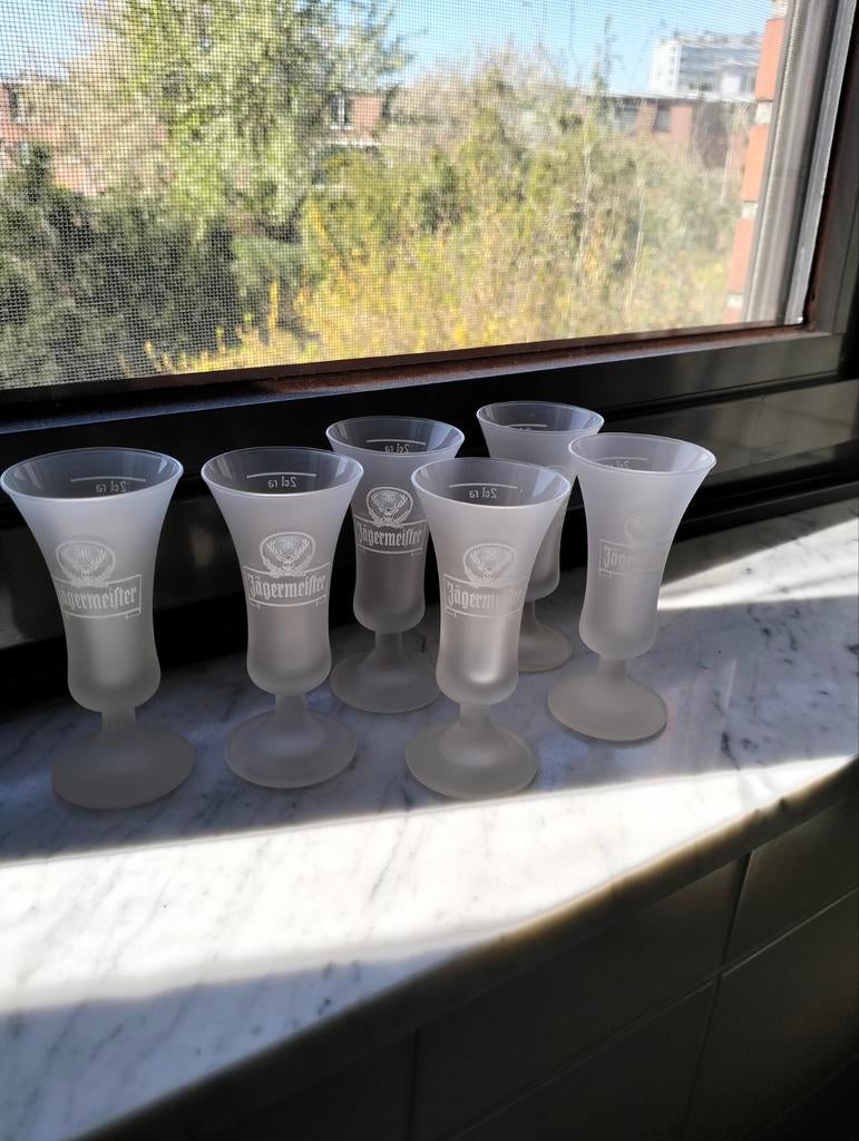 6 Jägermeister glaasjes , NIEUW, Collections, Enlèvement