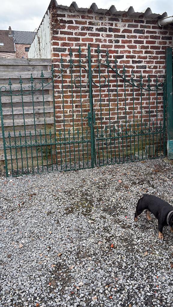 Zeer mooie tuinpoort, Tuin en Terras, Tuinpoorten, Ophalen, Gebruikt, 200 cm of meer, IJzer