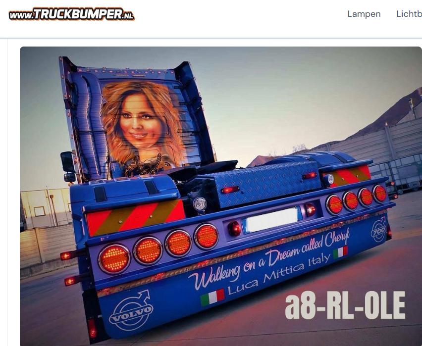 pare-chocs de camion, Enlèvement ou Envoi, Neuf, Autres marques, Carrosserie et Tôlerie