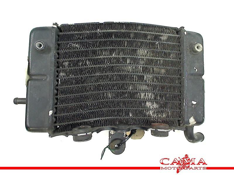 RADIATEUR Honda XL 600 V Transalp 1991-1993 (XL600V PD06), Motoren, Dhr. S. di Majo, Gebruikt, Info@cama-motorparts.nl, P.J. Troelstraweg 8 8
3144 CX  MAASSLUIS, NL