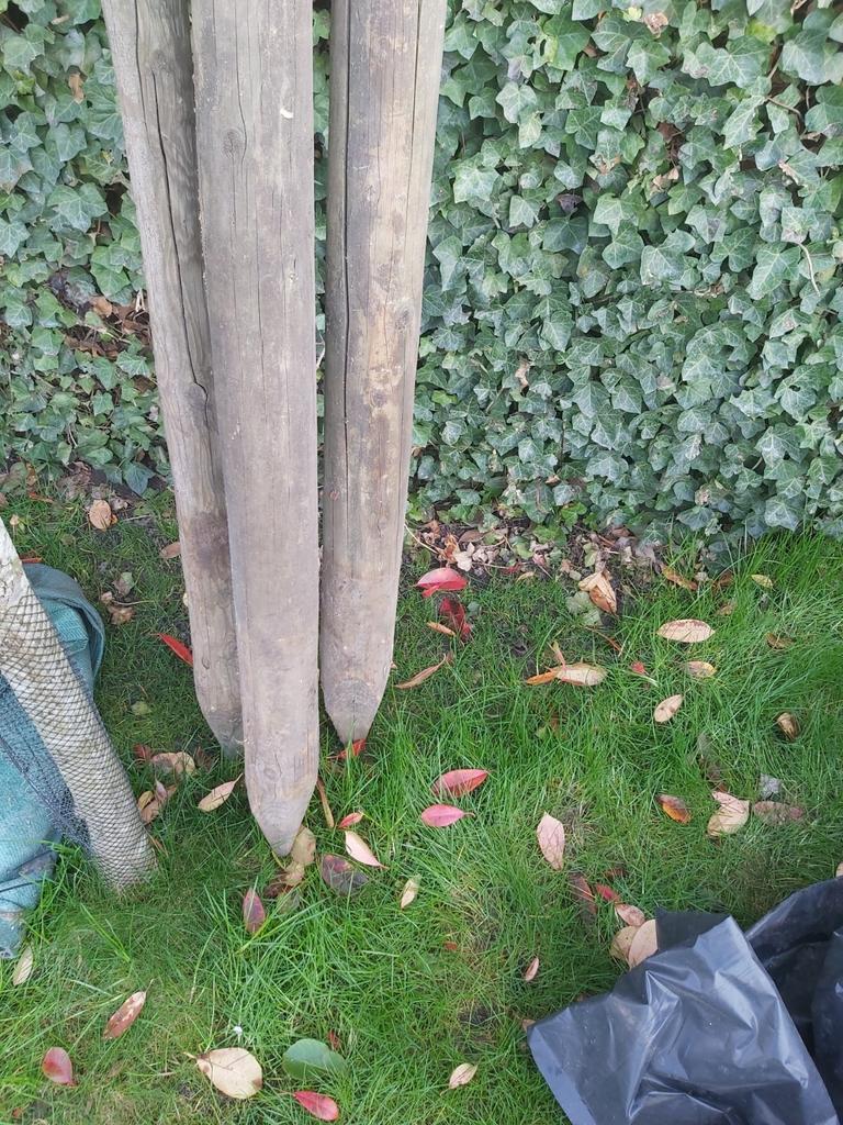 Palen, Ophalen, Palen