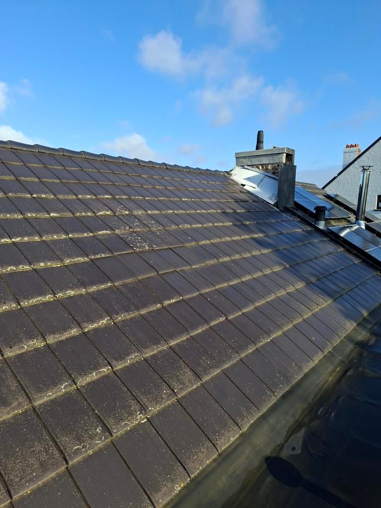 Dakpannen Nielskamp Nibra 70m2, Enlèvement, Noir, Tuiles