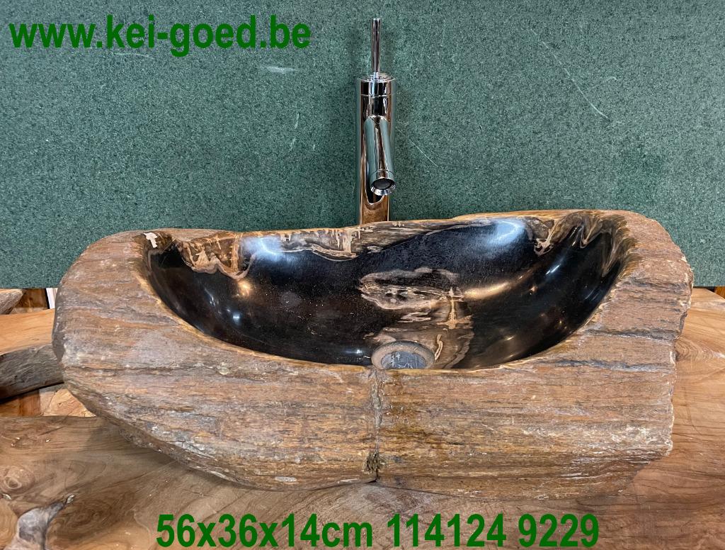 Versteend hout daarvan een wasbak of lavabo of decoratieblad, Verzamelen, Mineralen en Fossielen, Ophalen of Verzenden, Fossiel