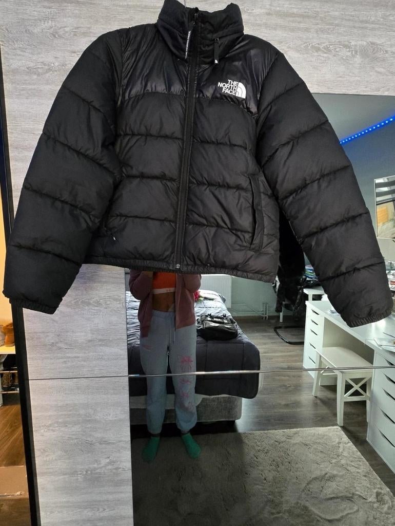 Veste North Face peu portée taille M, Vêtements | Hommes, Vestes | Hiver, Enlèvement, Taille 48/50 (M)