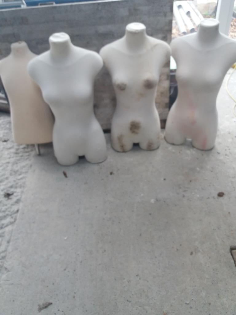 buste en frigolite 3 pièces ( 1 vendu), Hobby & Loisirs créatifs, Enlèvement