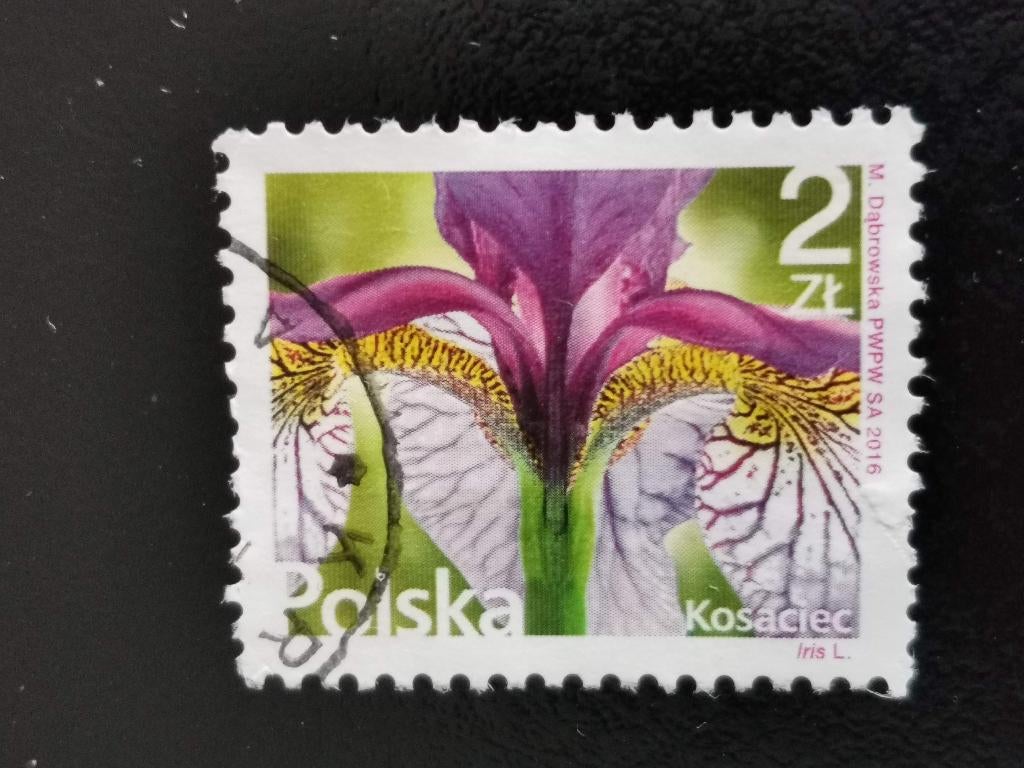 Polen 2016 - bloemen - iris, Ophalen of Verzenden, Polen, Gestempeld