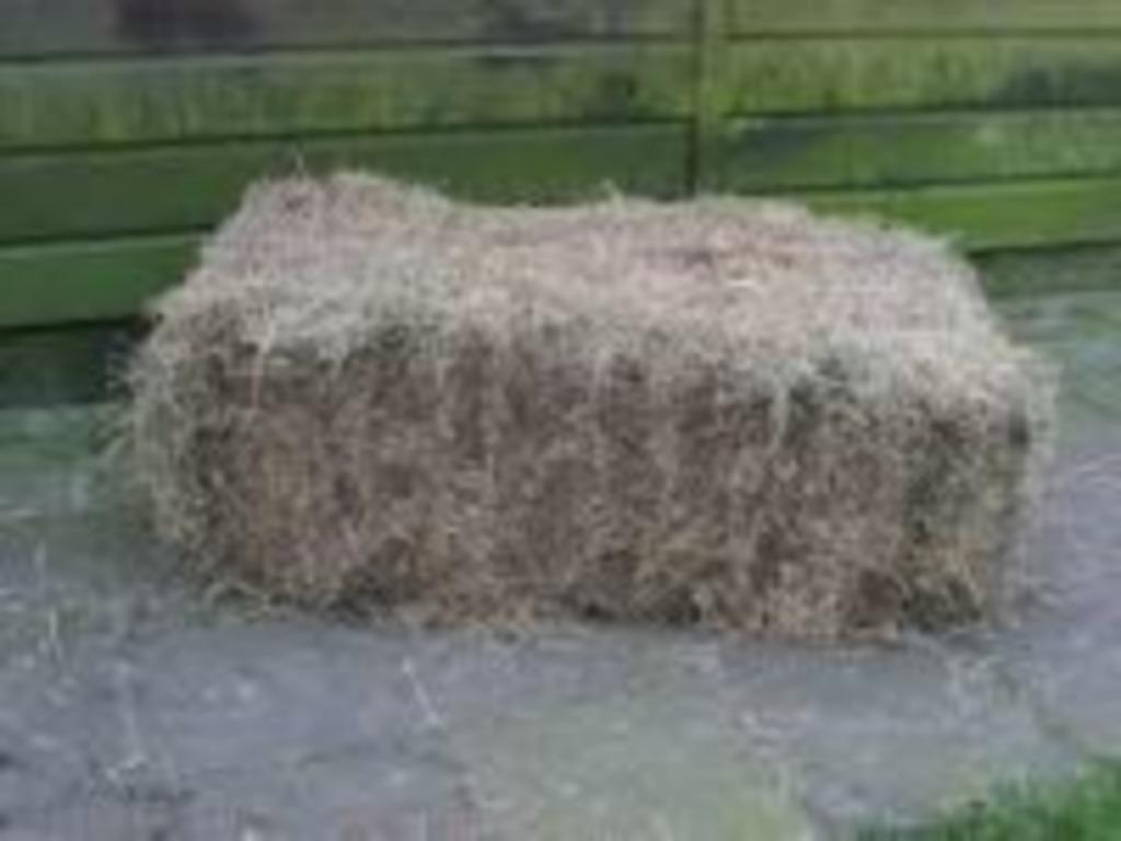 luzerne, Ophalen, Vee