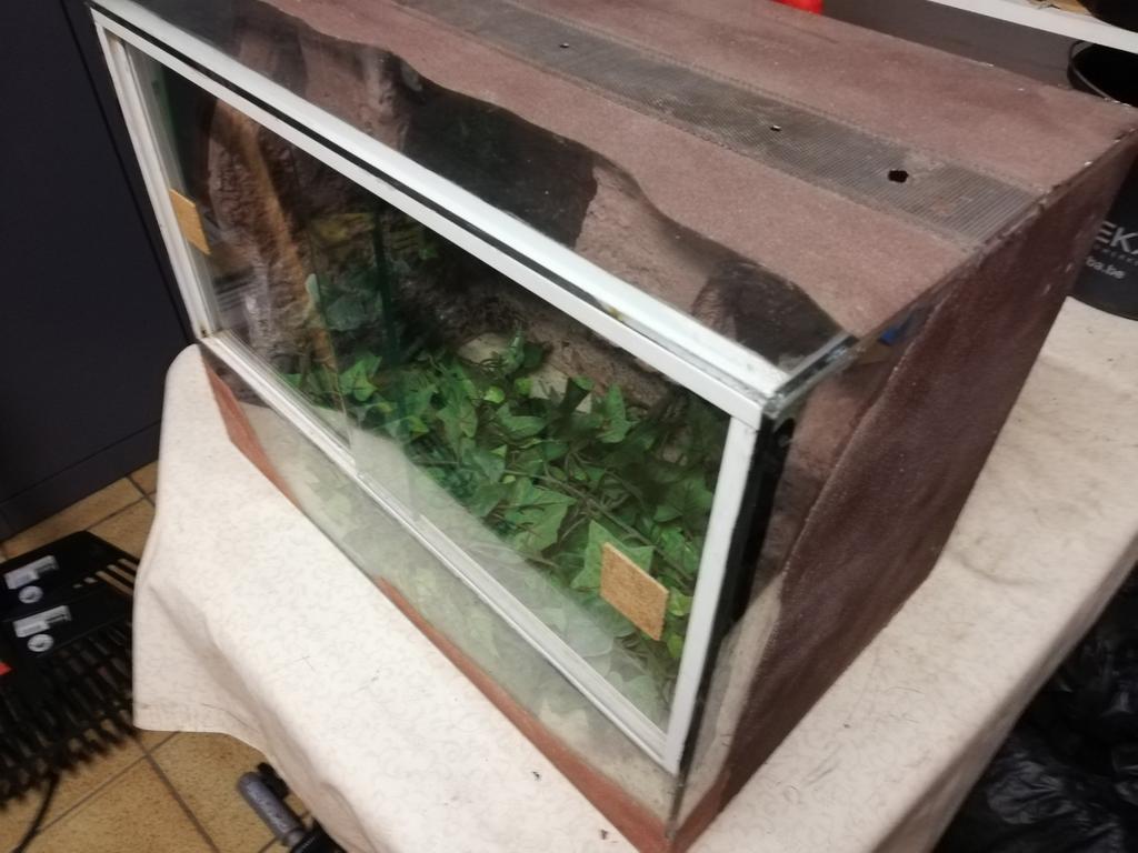 Terrarium - 6mm glas, Enlèvement, Utilisé, Terrarium ou Paludarium