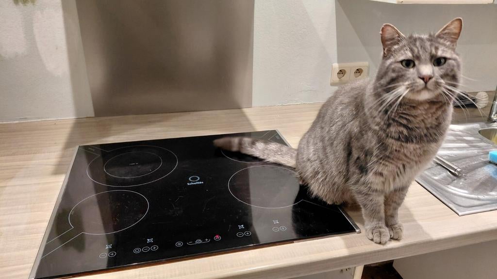 Vitrokeramische kookplaat Scholtes 60cm, Elektronische apparatuur, Kookplaten, Ophalen