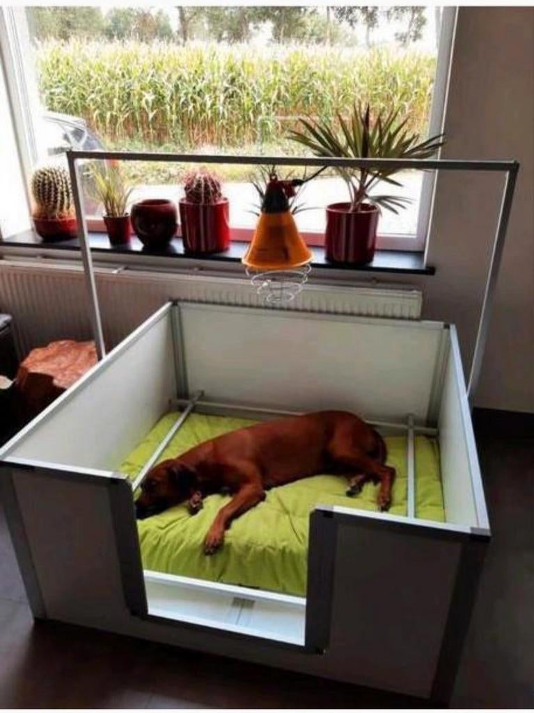 PROFESSIONELE WERPKIST HUNDOS ***** TOP AANBIEDING TE HUUR, Envoi, Comme neuf