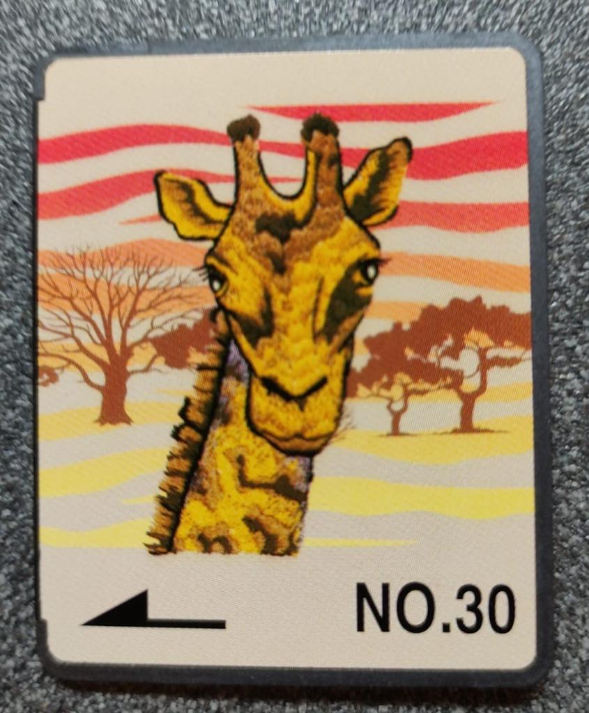 Borduurkaart voor brother/bernina /babylock borduurmachine, Hobby en Vrije tijd, Ophalen of Verzenden, Zo goed als nieuw, Machineborduren