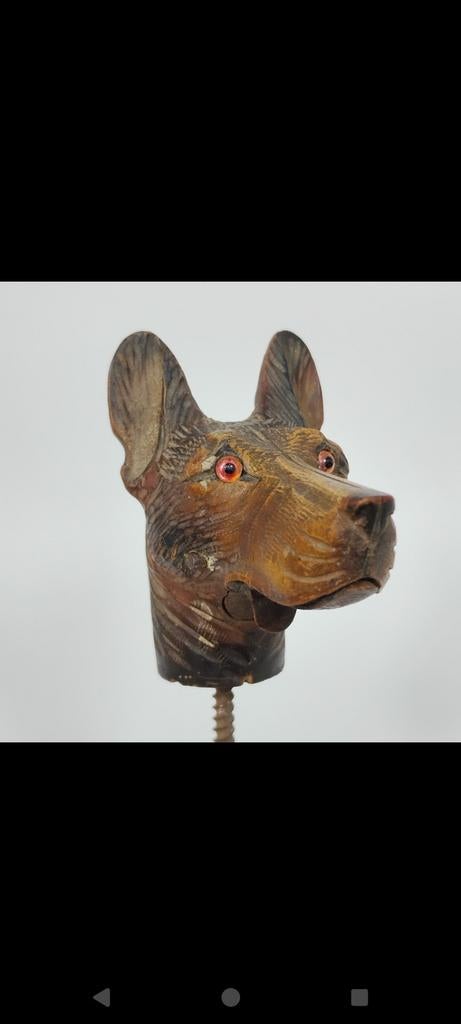 Pommeau de canne tête de chien qui ouvre la bouche 1900, Antiquités & Art, Enlèvement ou Envoi
