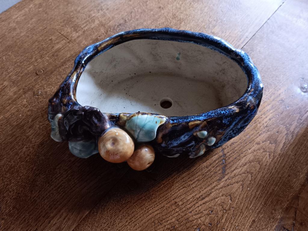 Bonsai schaal, Tuin en Terras, Ophalen, Gebruikt, Balkon, Overige vormen