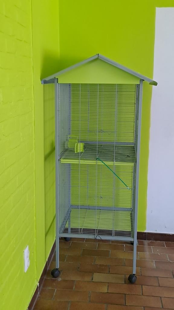 Cage à oiseaux, Enlèvement, Cage à oiseaux
