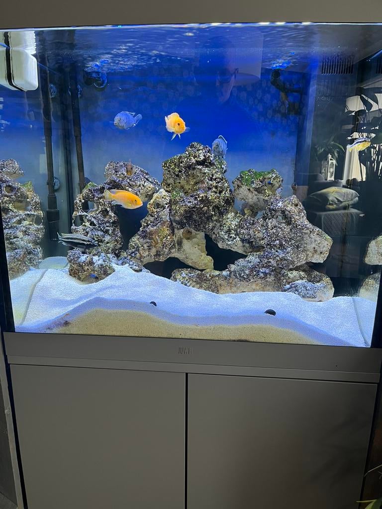 Aquarium lido200, Dieren en Toebehoren, Ophalen, Zo goed als nieuw