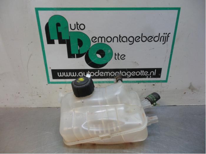 Réservoir d'expansion d'un Renault Megane (Megane 09-), Renault, -, 3 mois de garantie, Utilisé