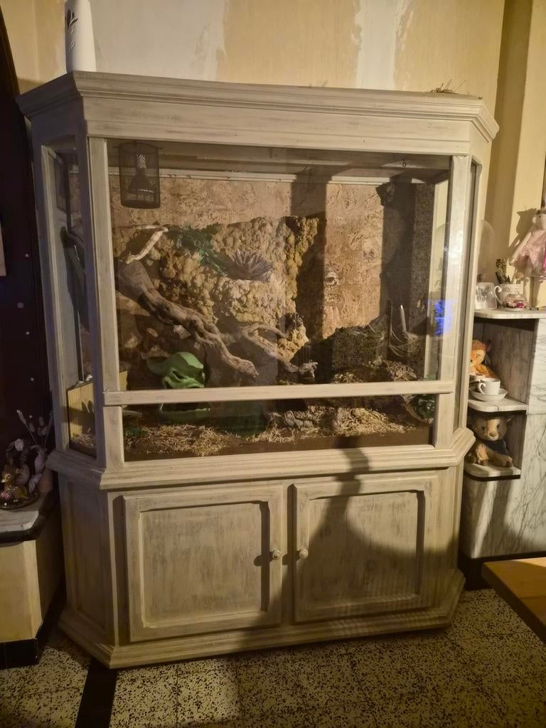 Terrarium 165x190x70, Dieren en Toebehoren, Ophalen, Gebruikt, Terrarium of Paludarium