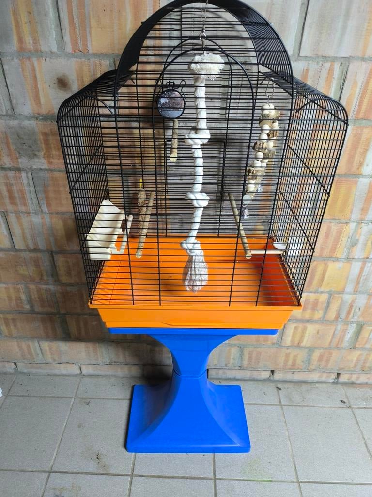 Vogelkooi, Enlèvement, Cage à oiseaux