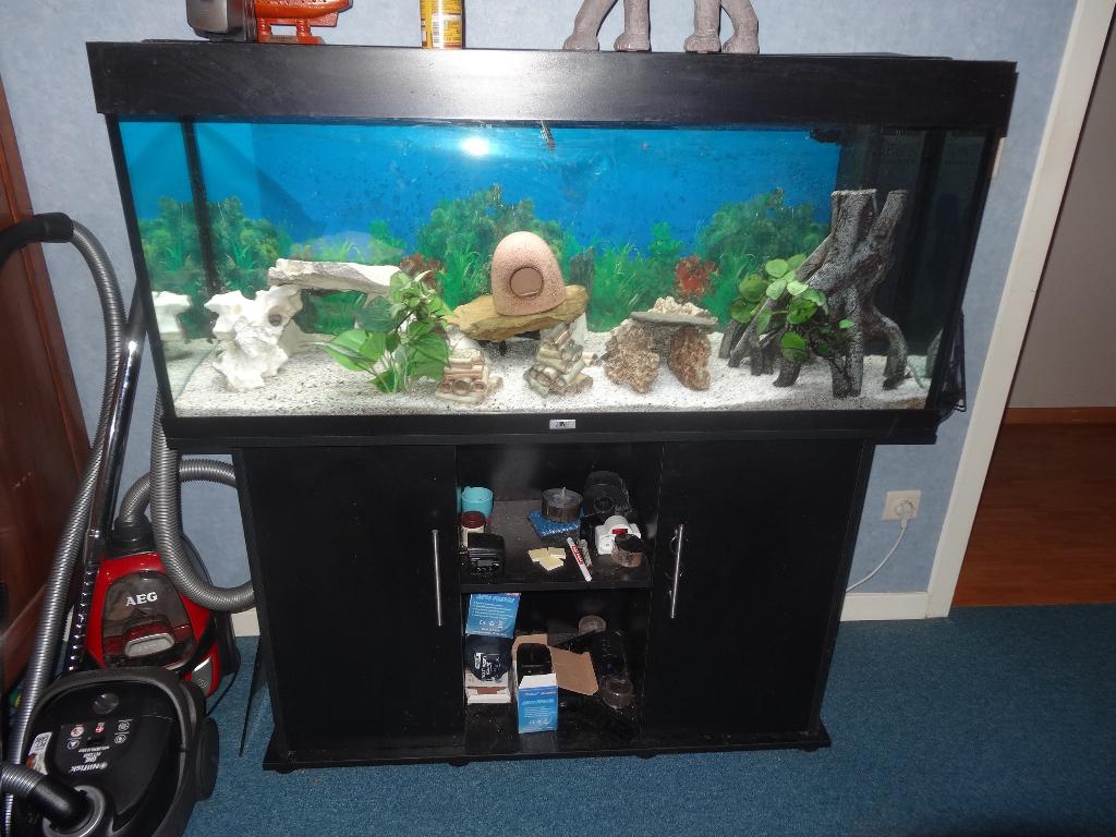 Aquarium Juwel Rio 240 + meuble, Enlèvement, Utilisé, Aquarium vide