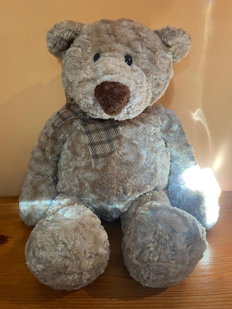 Ours en peluche, Enlèvement ou Envoi, Comme neuf, Autres types, Autres marques