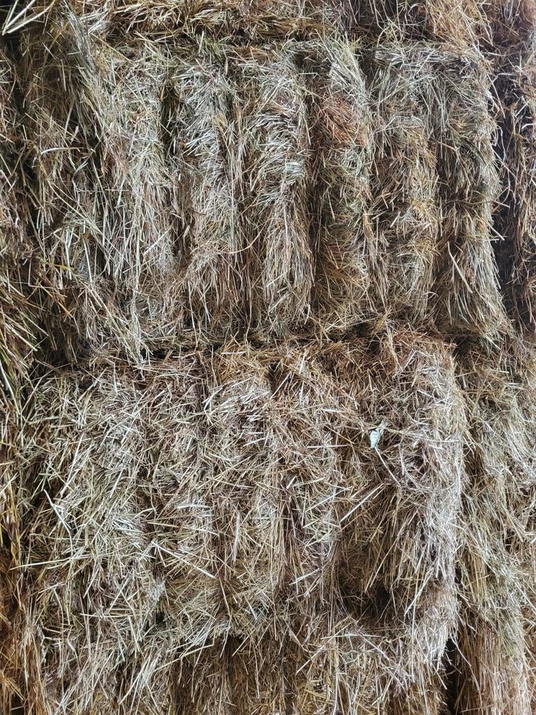 Hooi en stro, Dieren en Toebehoren, Dierenvoeding, Ophalen of Verzenden