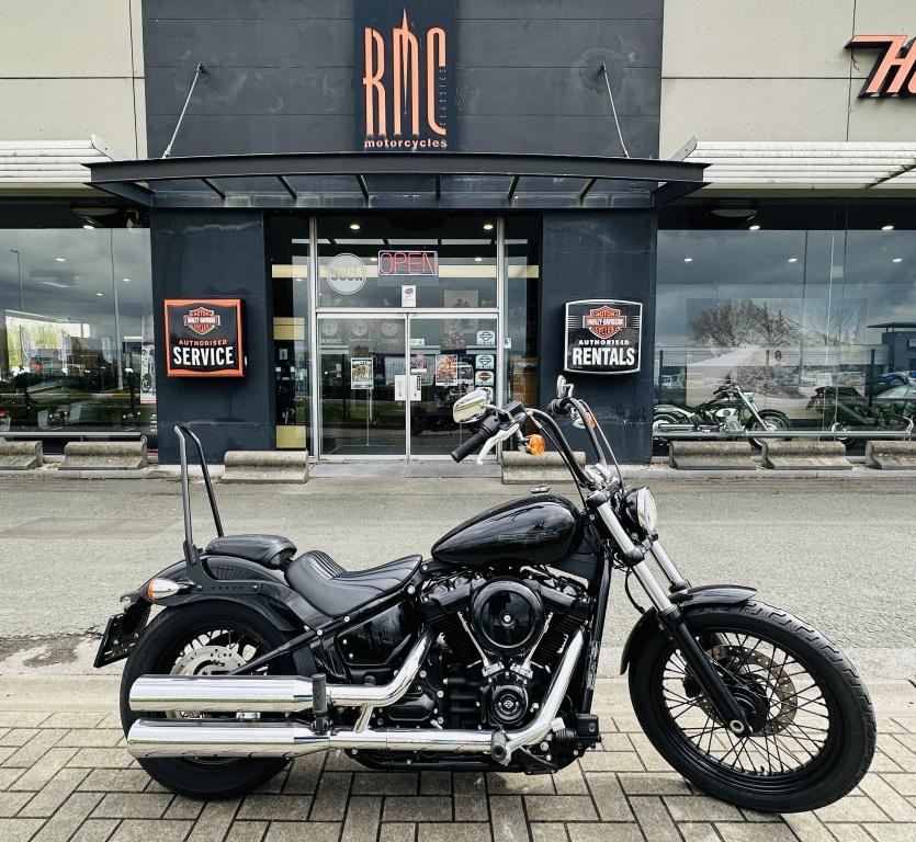 Harley-Davidson Cruiser SOFTAIL - STANDARD 107 (bj 2021), Overig, 1753 cc