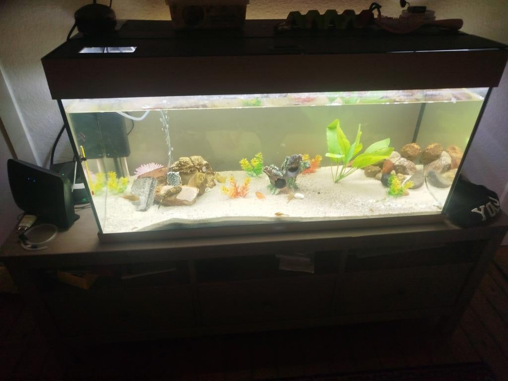 Aquarium te koop met toebehoren van het merk juwel, Dieren en Toebehoren, Ophalen, Gebruikt, Gevuld zoetwateraquarium
