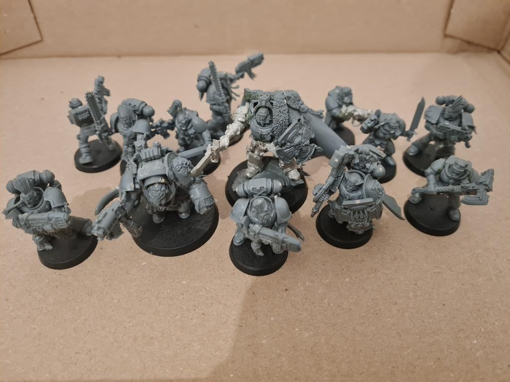 Warhammer 40K Space Wolves + Bits Box, Ophalen of Verzenden, Warhammer, Figuurtje(s)