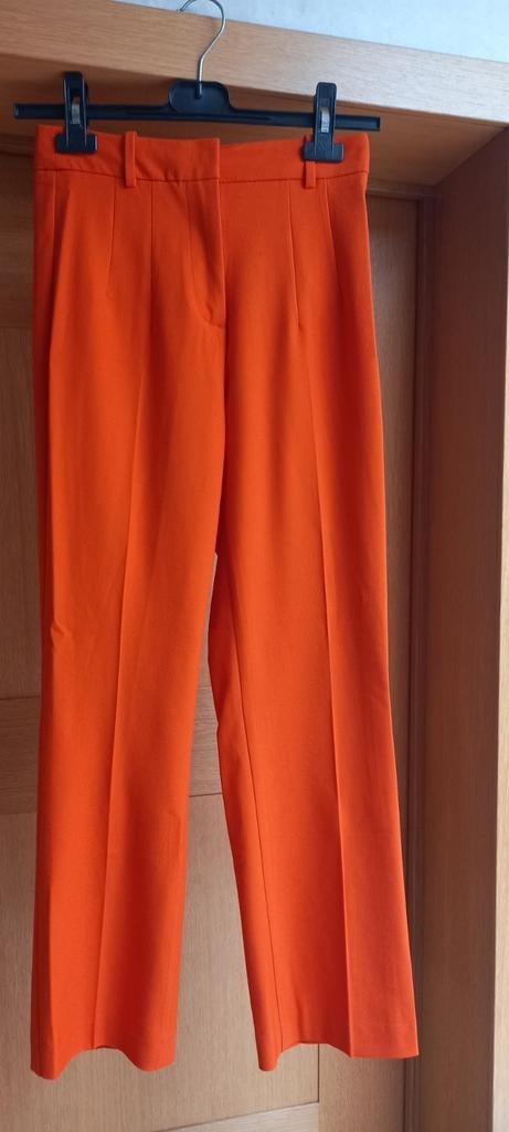 Nieuwe oranje damesbroek Zara XS, Neuf, Enlèvement ou Envoi, Zara, Longs