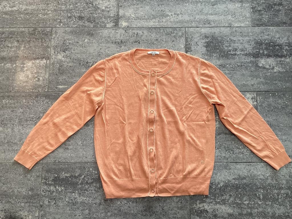 Gilet/Cardigan Gigue 44, Kleding | Dames, Truien en Vesten, Gigue, Overige kleuren, Maat 42/44 (L), Ophalen of Verzenden