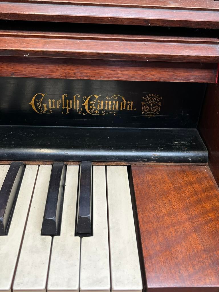 Harmonium, afkomst: Canada  Afgestemd!, Muziek en Instrumenten, Orgels, Ophalen, Canda, Gebruikt, D'Hondt