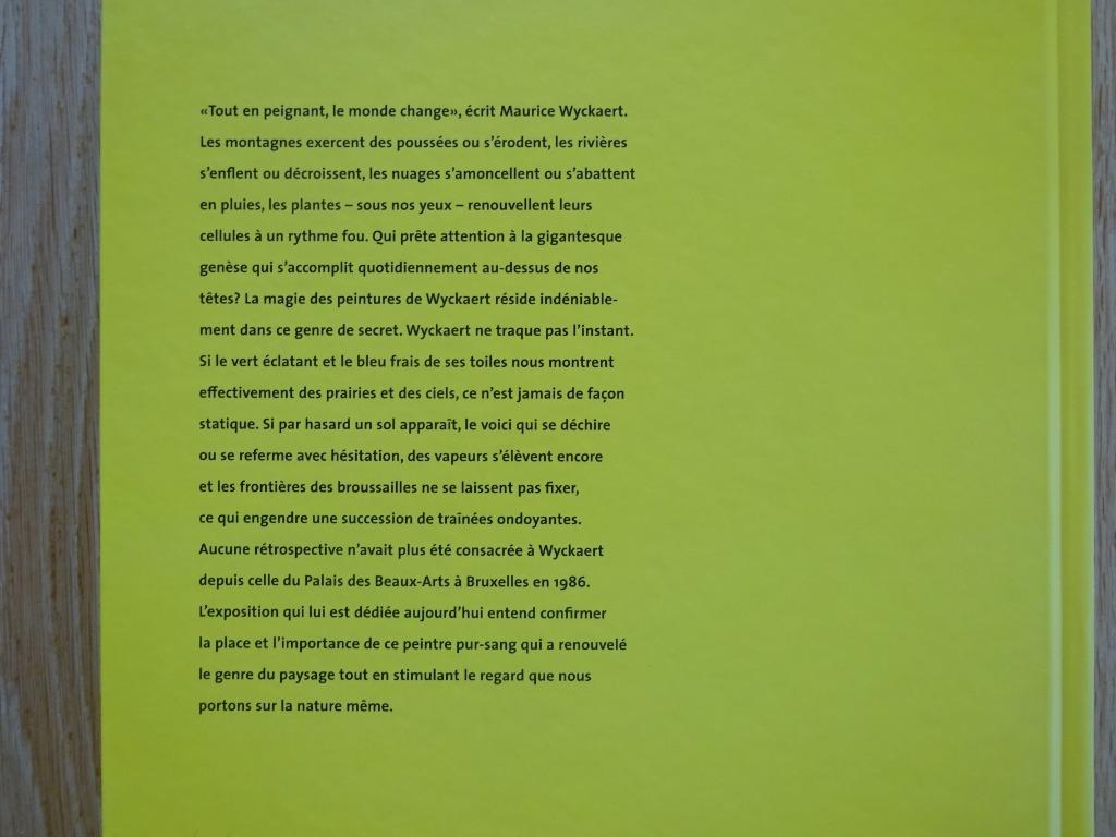 Maurice Wyckaert, traité du paysage, PMMK Oostende, Fonds Me, Boeken, Kunst en Cultuur | Beeldend, Nieuw, Ophalen of Verzenden