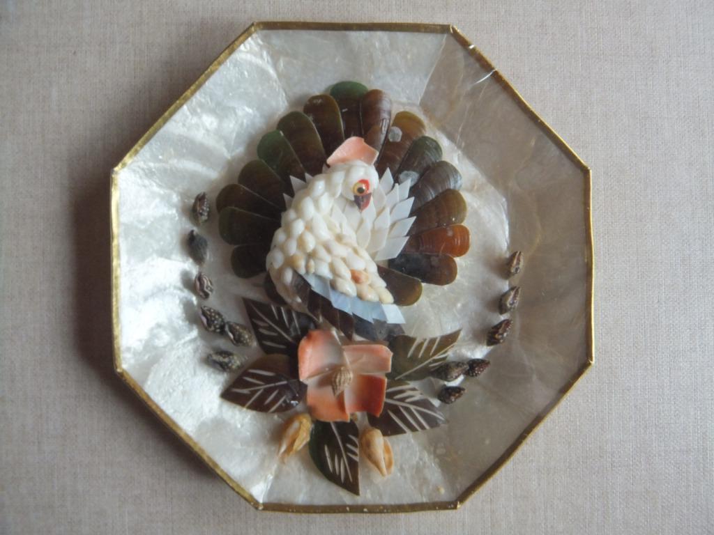 decoratie schelpjes, Verzamelen, Ophalen of Verzenden, Schelp(en)