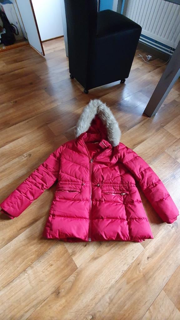 Rode warme winterjas van Tommy Hilfiger xxl, Ophalen, Maat 46/48 (XL) of groter, Gedragen, Rood