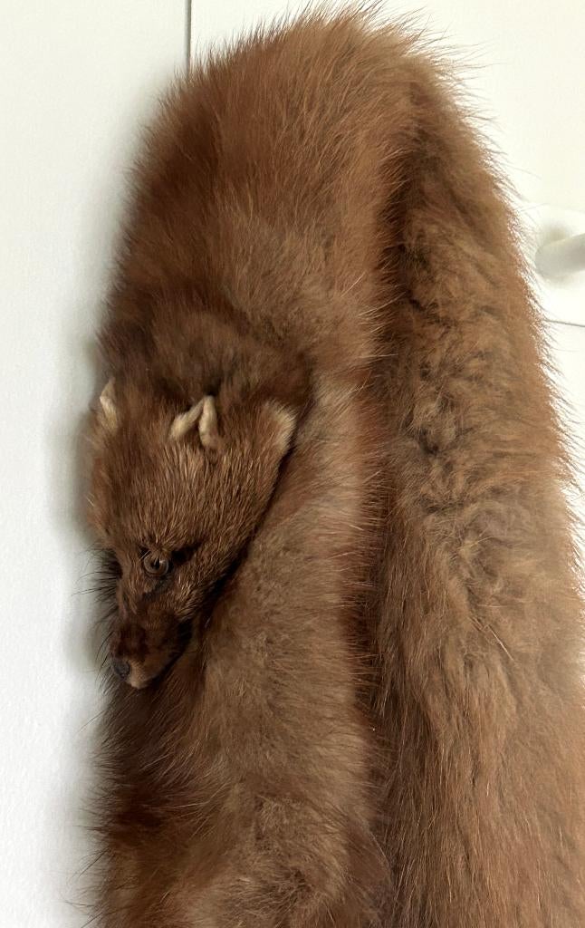 Echarpe Vintage en Fourrure de Zibeline, Vêtements | Femmes, Taille 38/40 (M), Enlèvement ou Envoi, Sans marque, Comme neuf