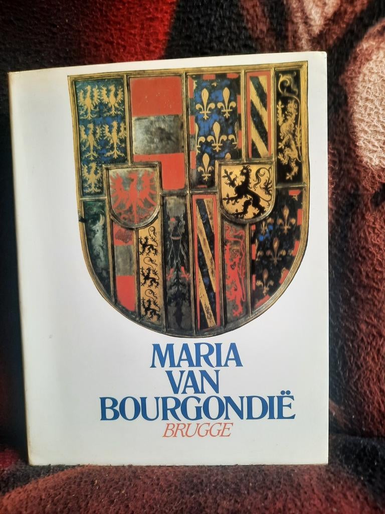Maria Van Bourgondië Brugge + 2 foto's schedel, Boeken, Geschiedenis | Stad en Regio, Gelezen, Ophalen of Verzenden
