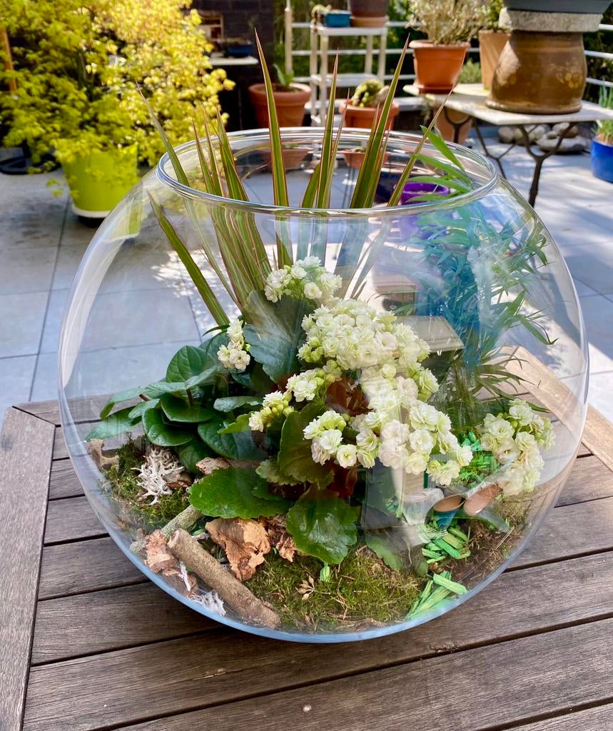 TERRARIUM - Prachtige bolvaas, diameter 40 cm!, Ophalen, Zo goed als nieuw