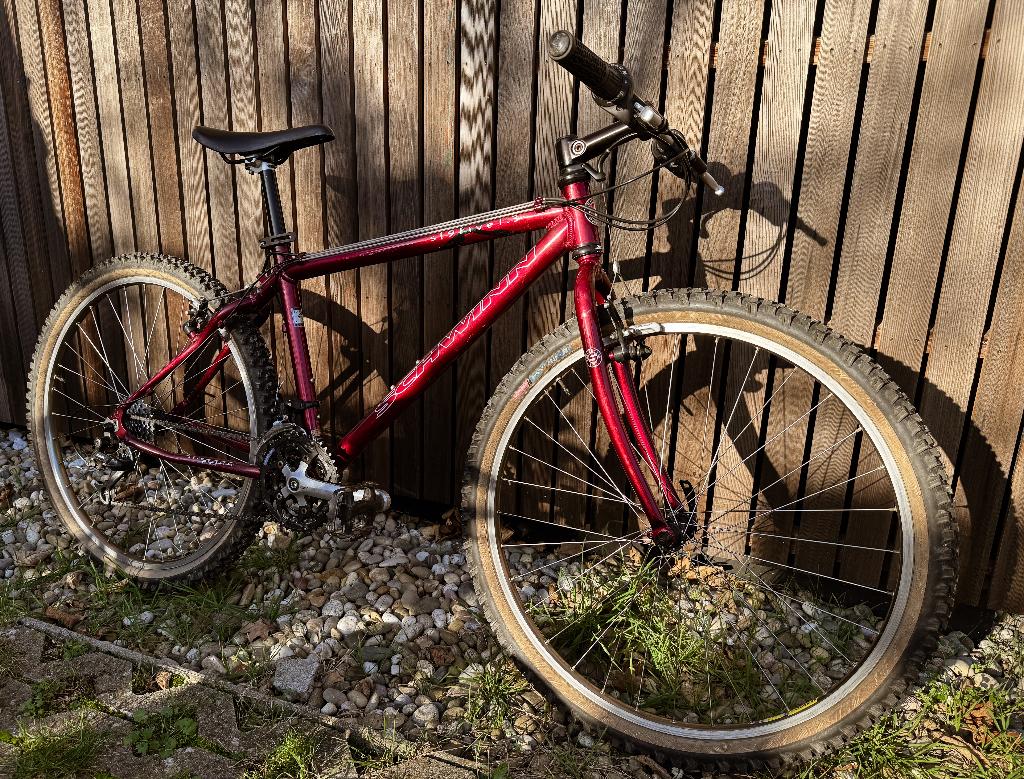 VTT Schwinn, Enlèvement