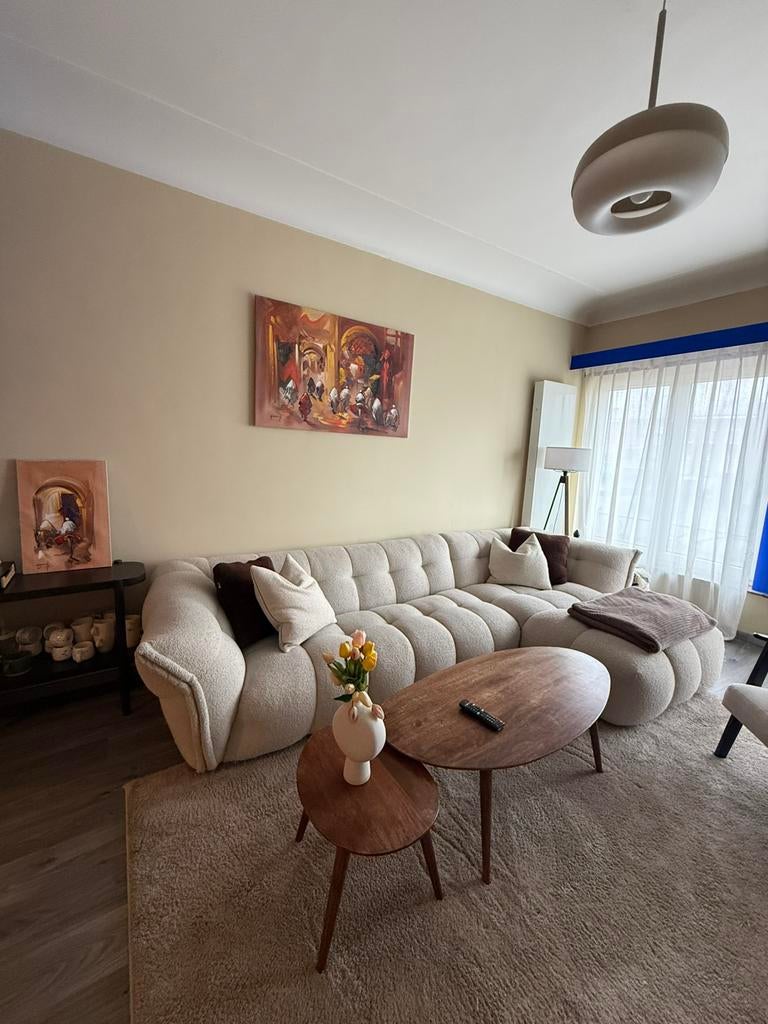 XOON BELLAGIO ZETEL, Province d'Anvers