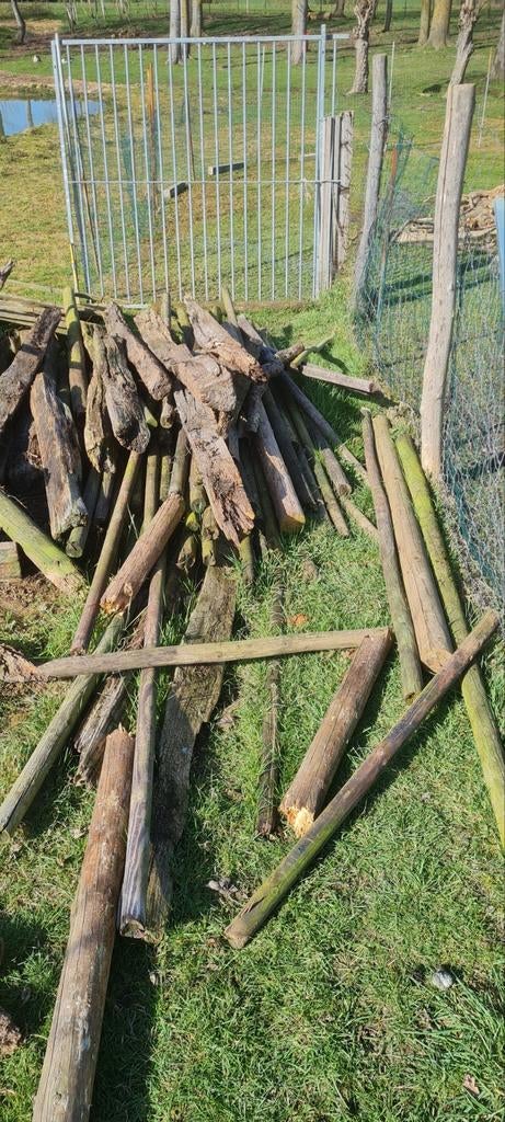 Brandhout, Jardin & Terrasse, Bois de chauffage, Moins de 3 m³, Enlèvement, Chêne, Troncs d'arbres
