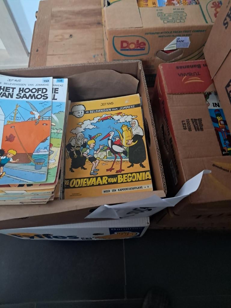 Zwart witte jommeke,s, Enlèvement