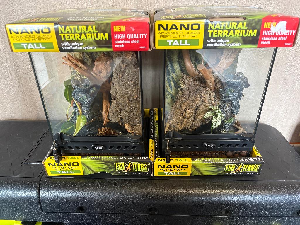 2x glazen Exo Terra (20x20x30) volledig bio-actief ingericht, Dieren en Toebehoren, Ophalen, Nieuw, Terrarium of Paludarium