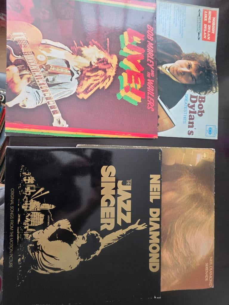 Lp en single collectie, Enlèvement, En néerlandais