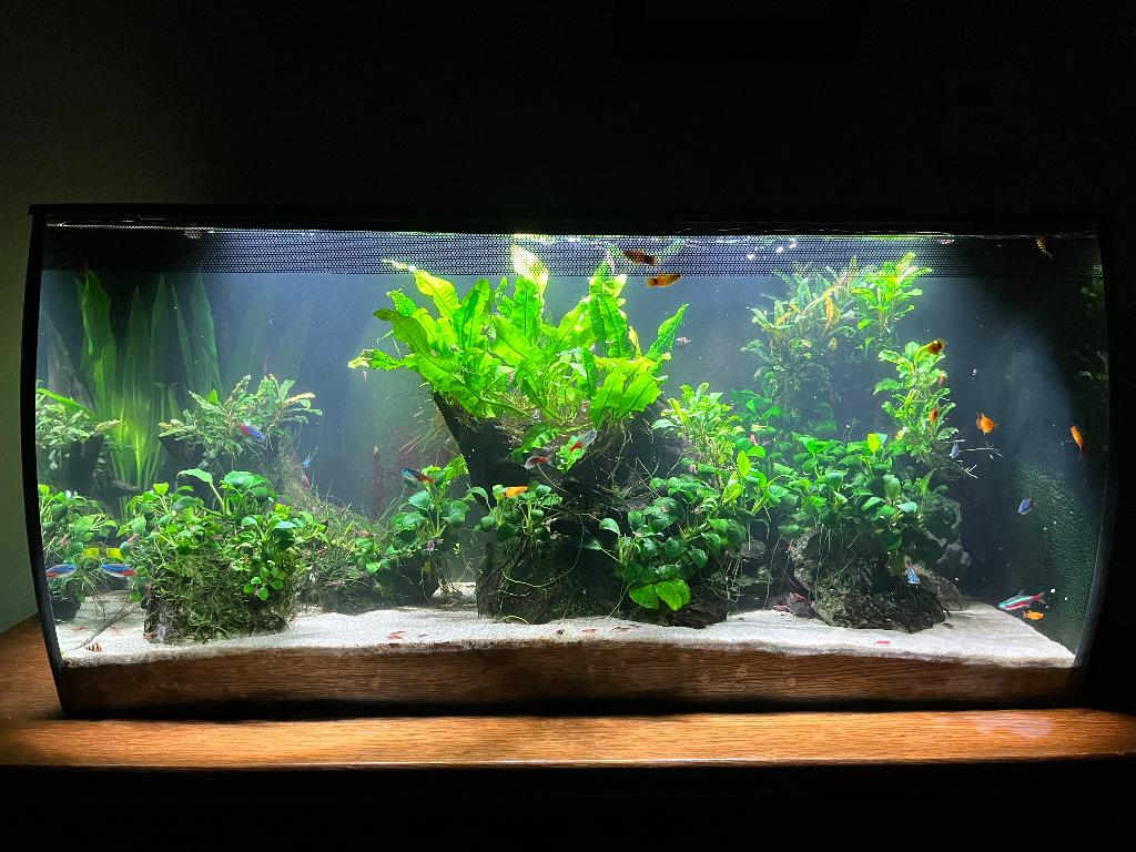 Fluval Flex 123l, Aquarium vide, Comme neuf, Enlèvement, Chauffage