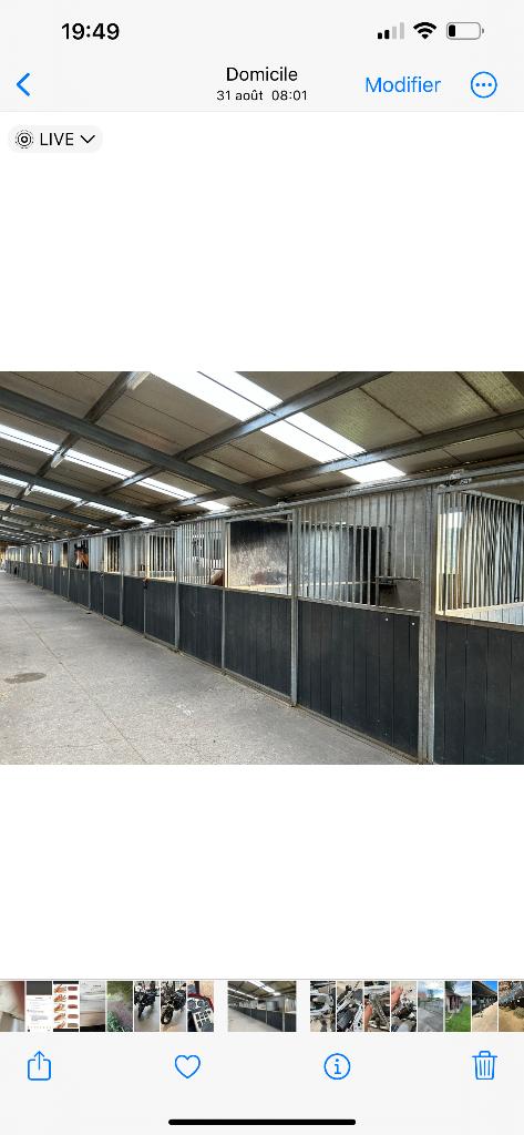 7 boxes chevaux, Mise à l'étable